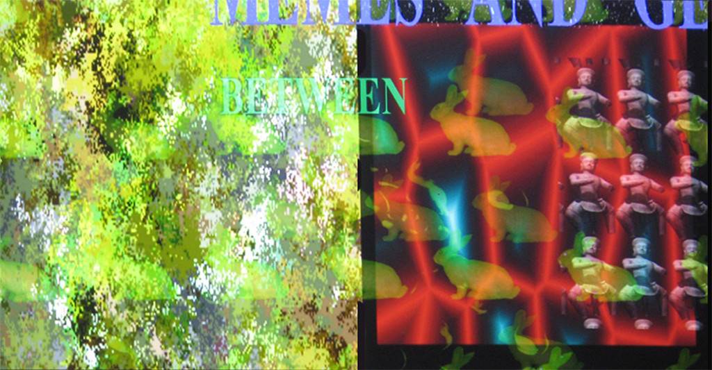 Ellen K. Levy: Memes and Genes (2013)